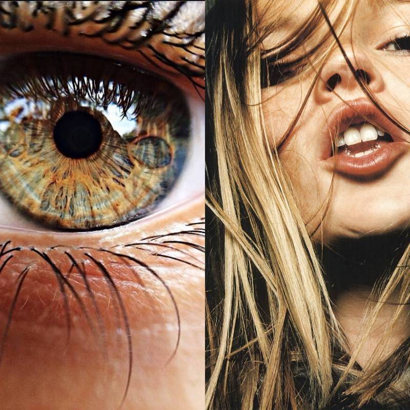 Example Cadence collage